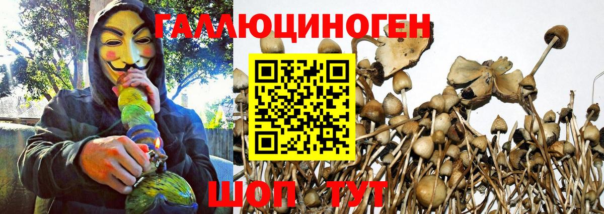 Галлюциногенные грибы мухоморы  Вход с VPN  Звенигород  Галлюциногенные грибы Cubensis 